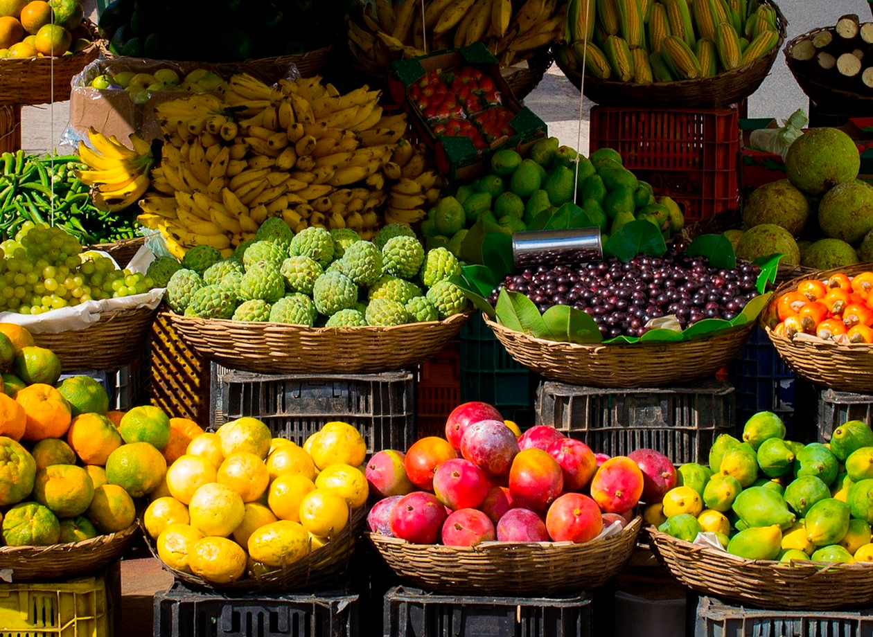 agroalimentos del vergel