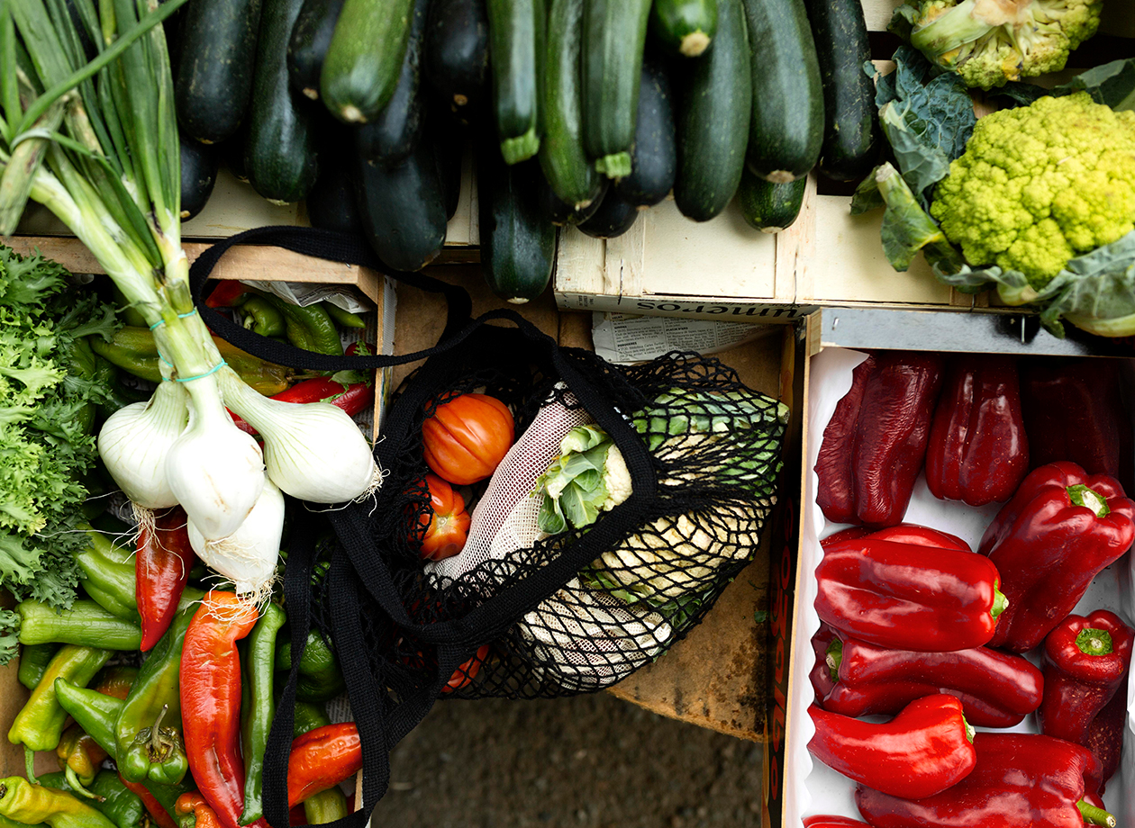 agroalimentos del vergel
