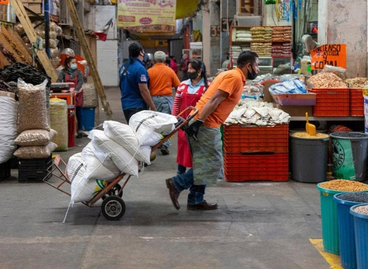 agroalimentos del vergel